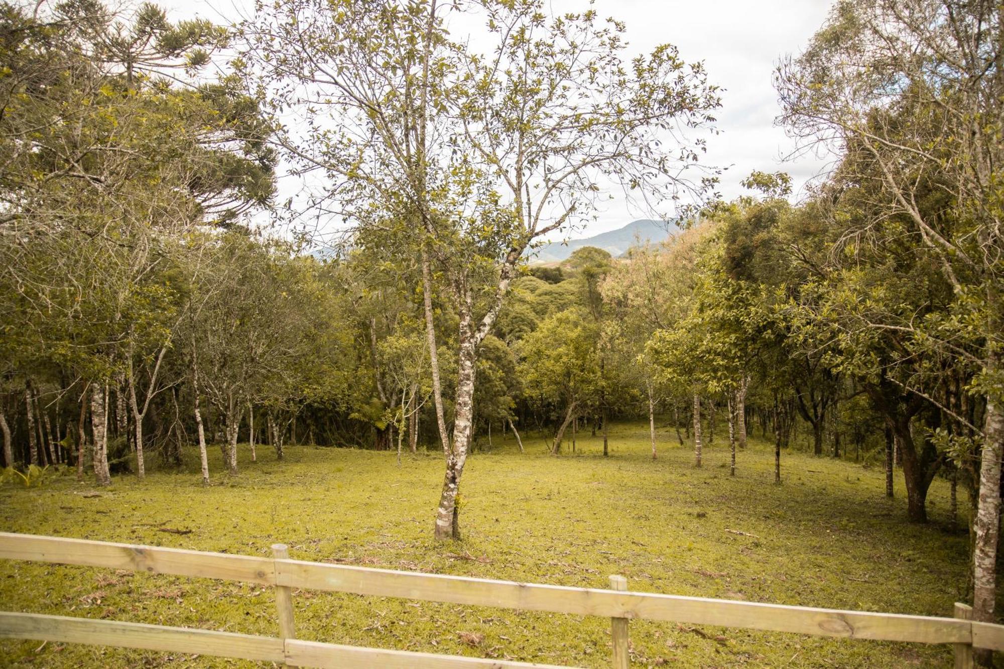 Cabana Com Hidromassagem Bom Retiro  Extérieur photo